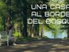 Una Casa Al Borde Del Bosque | Pelicula Completa En Español Latino